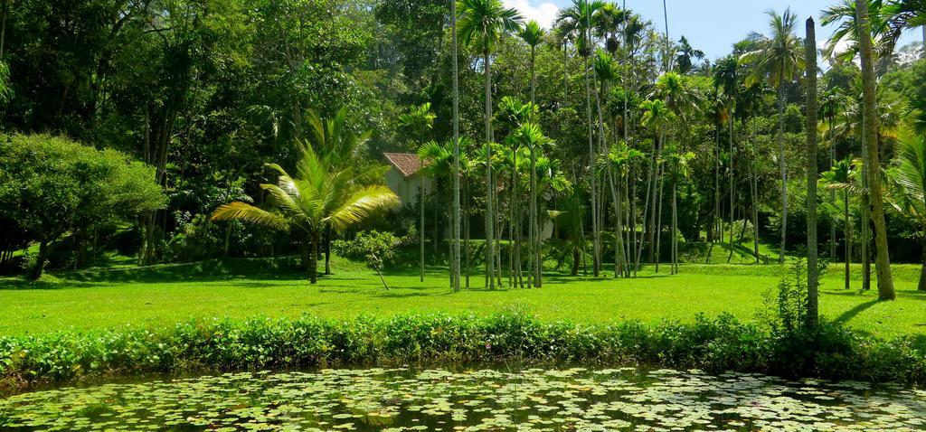 Siri Wedamadura Villa Велигама Номер фото